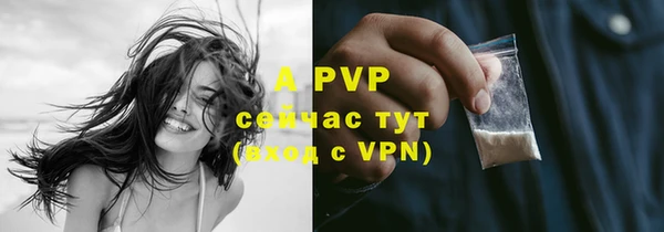 стаф Белоозёрский
